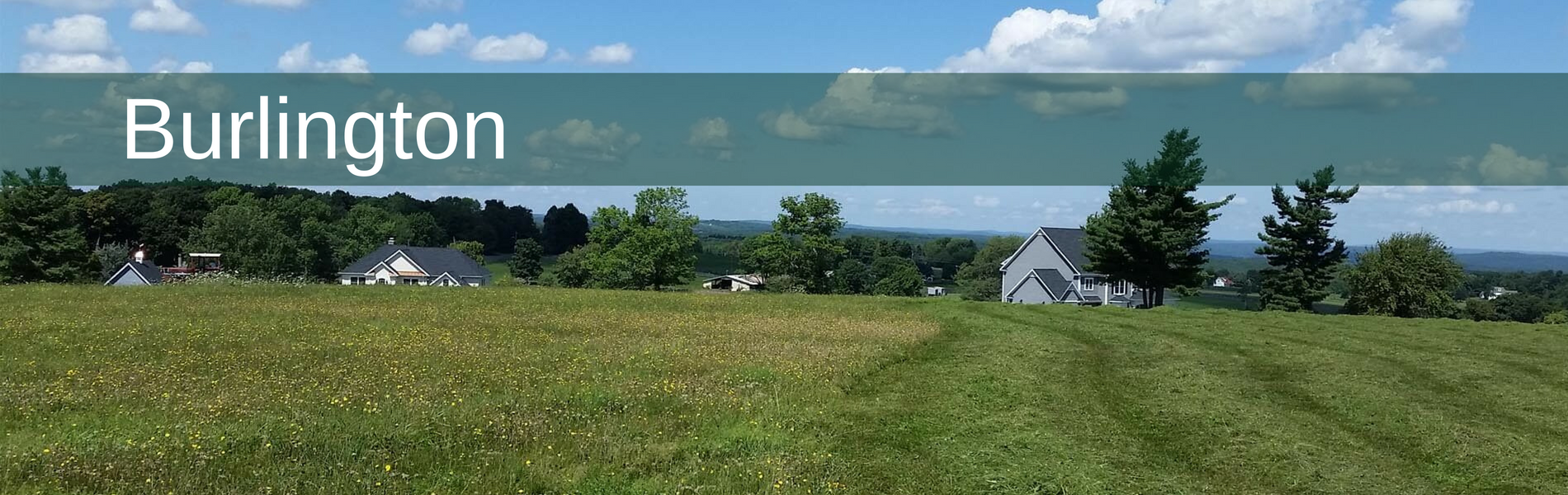 Burlington Sciarra Mok